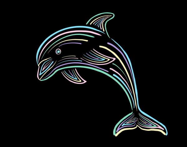 Dolphin • NSCS