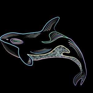 Orca Whale • NSCS